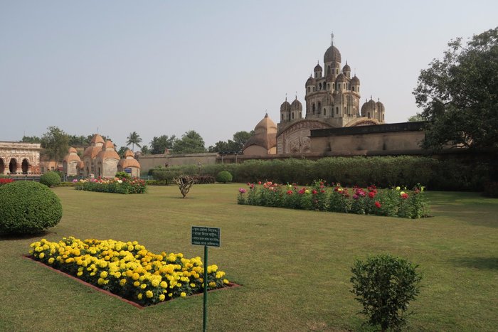 The beautiful lawn...