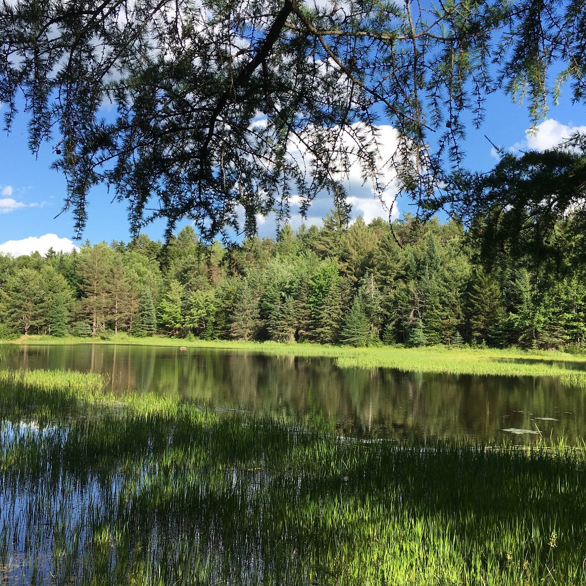 Albums 105+ Images higley flow state park photos Stunning