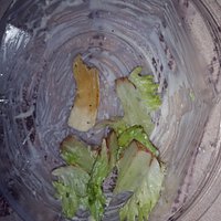20170224_150710_large.jpg"
