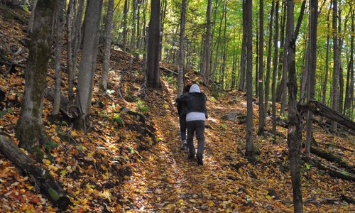 Parc des Montagnards