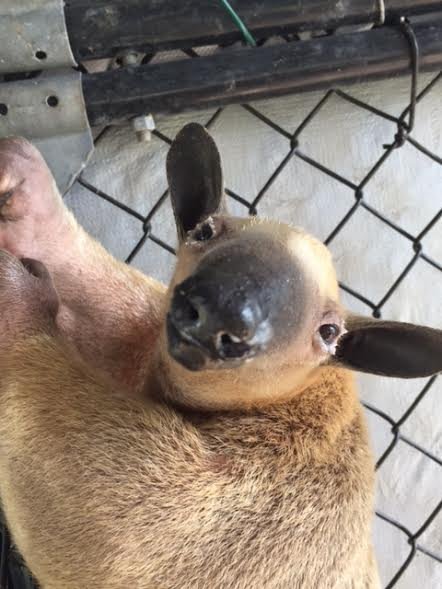 Wellington Conservation Center - All You Need to Know BEFORE You Go