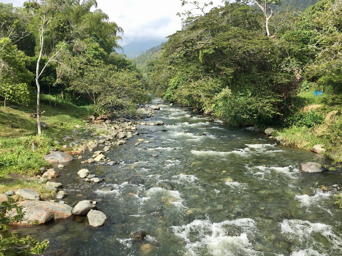 Pico de Loro (Cali) - Qué SABER antes de ir (ACTUALIZADO 2024) - Tripadvisor