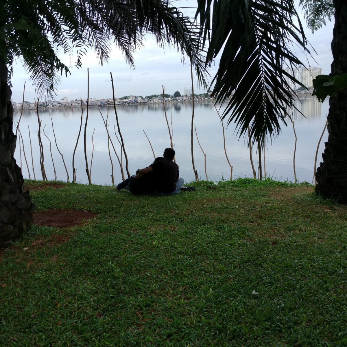 TAMAN WADUK PLUIT (Jakarta) - 2022 Qué saber antes de ir - Lo más