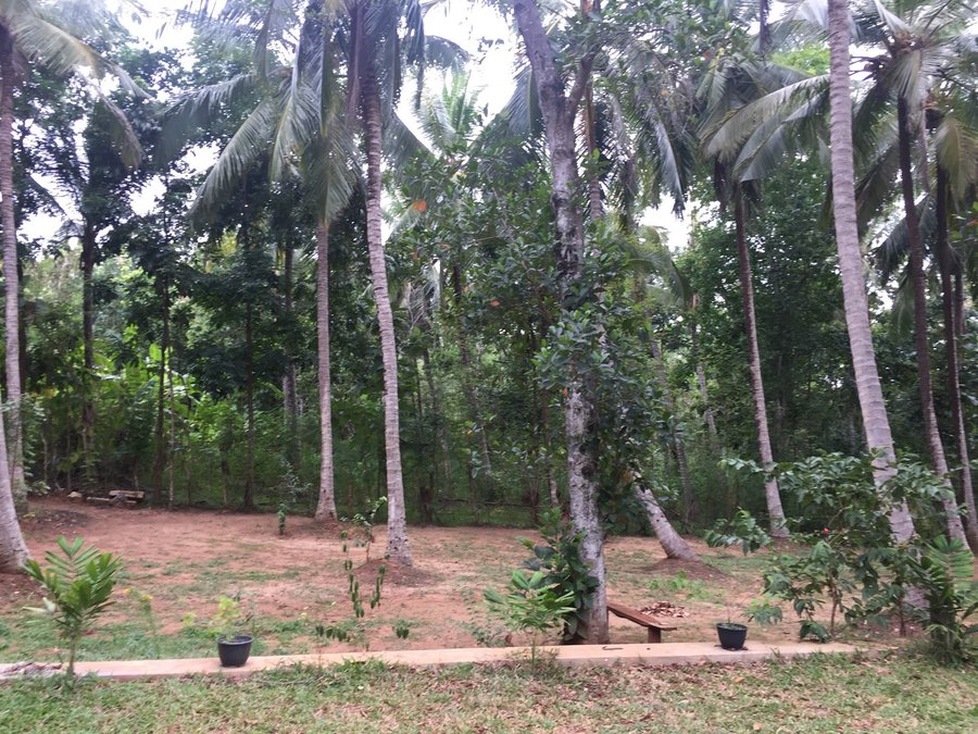 Leesa Villa Safari Resort Rooms Pictures Reviews Tripadvisor