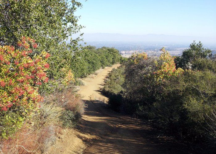 Los Altos Hills, Kalifornien Tourismus in Los Altos Hills