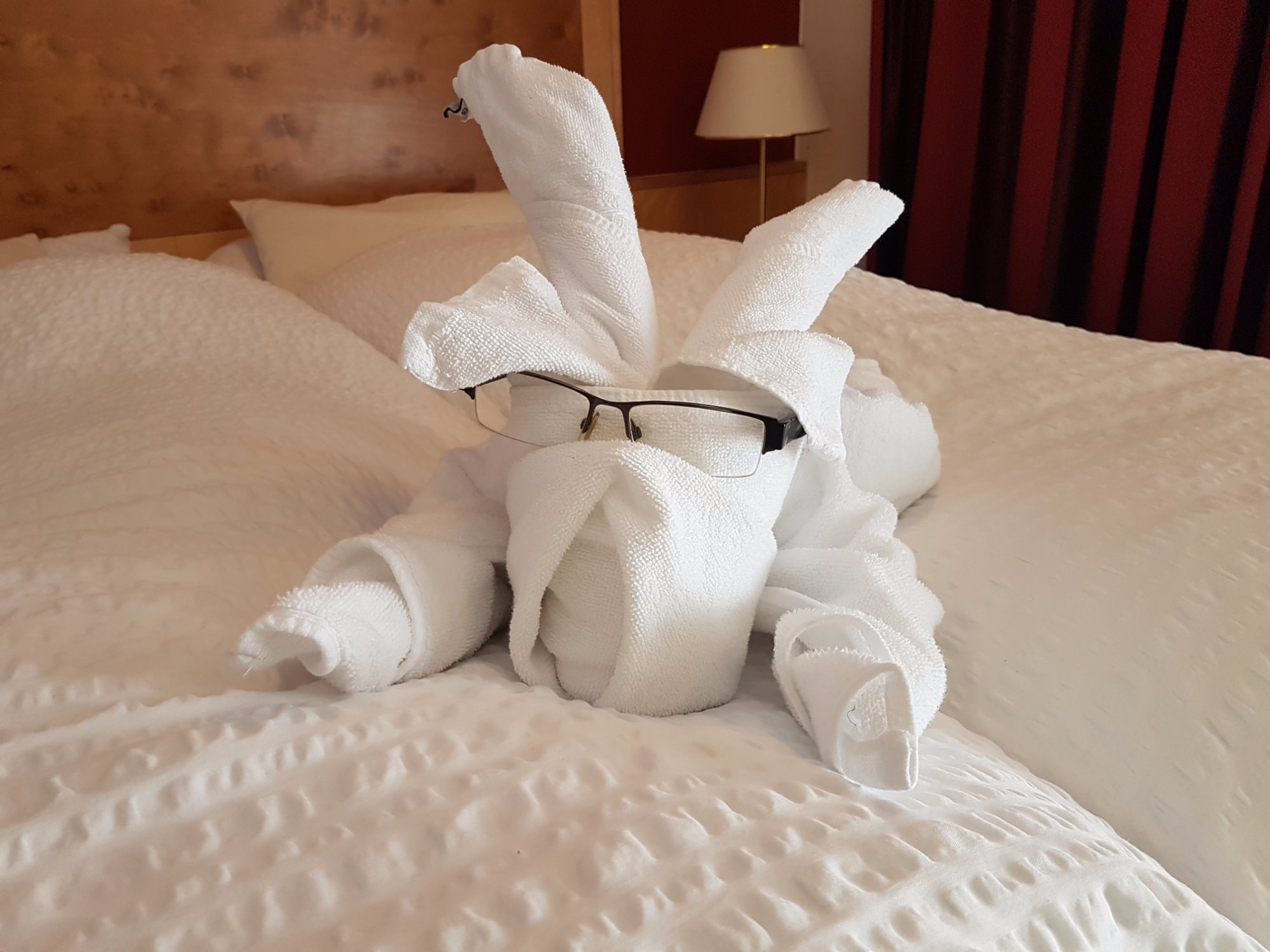 Hotel photo 8 of Amadeus-Micheluzzi.