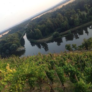 Zusammenfluß Elbe und Moldau
