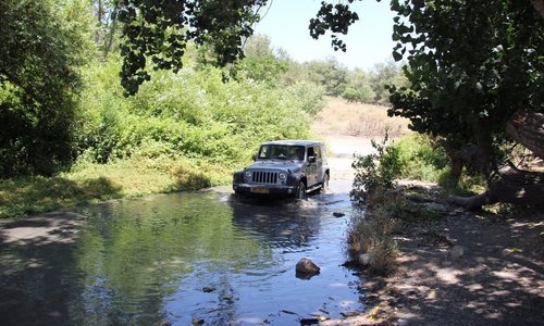 סדנאות שטח וליקוט צמחי מרפא בג'פ שטח לזוגות בלבד.