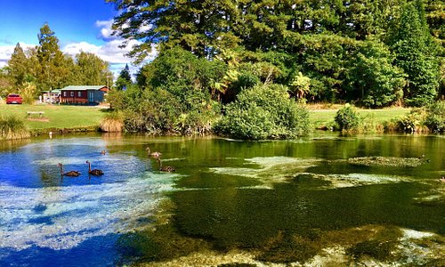 Rotorua Tourism and Holidays: Best of Rotorua, New Zealand - Tripadvisor