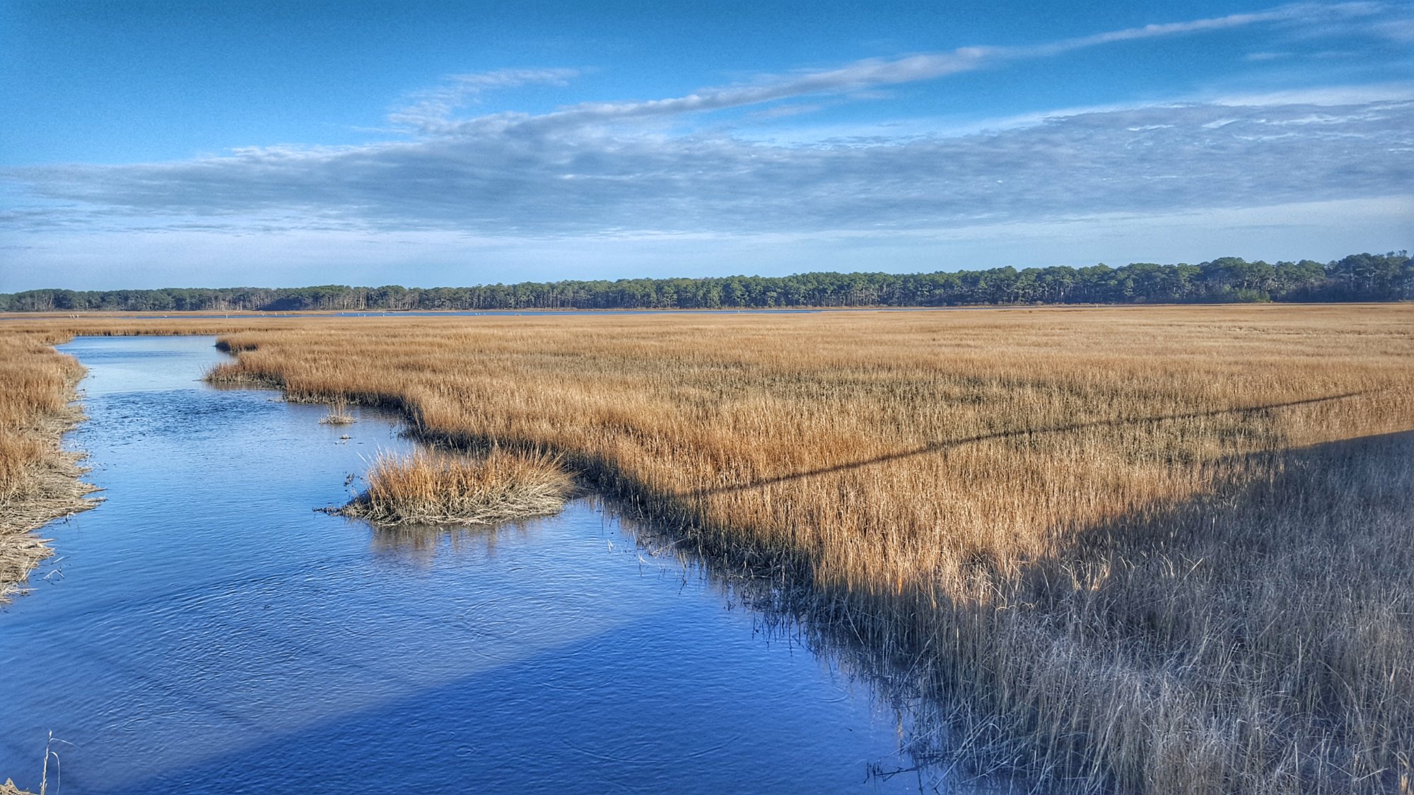 CHINCOTEAGUE NATIONAL WILDLIFE REFUGE Isla De Chincoteague 2023 Qu   Wetland Complex View 