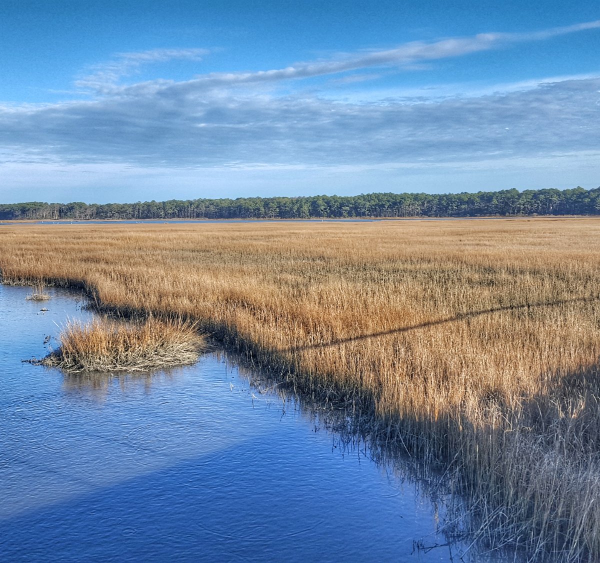 chincoteague-national-wildlife-refuge-chincoteague-island-aktuelle