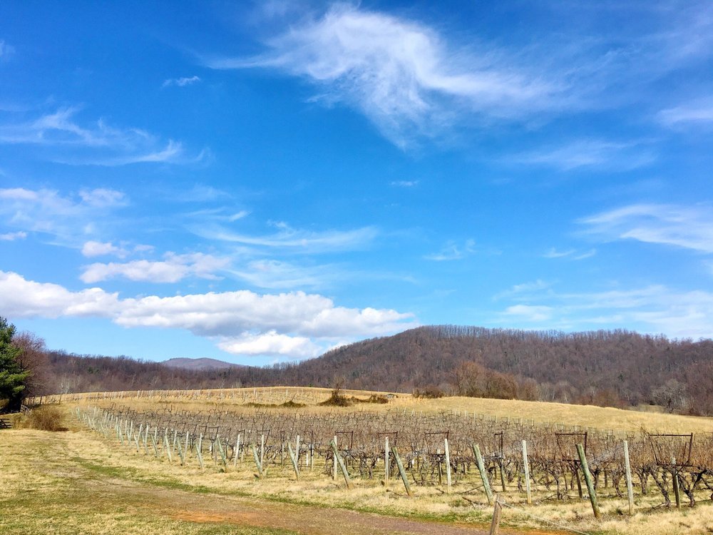 THE 10 BEST Virginia Wineries & Vineyards (Updated 2023)