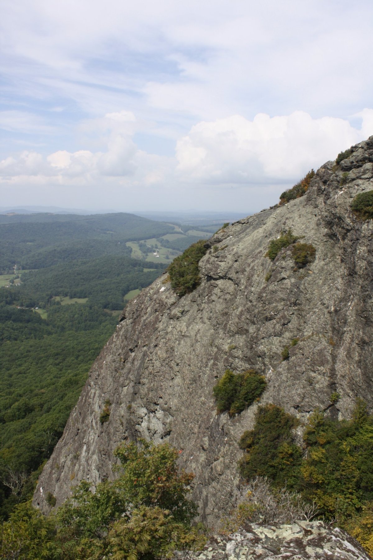 Buffalo Mountain Natural Area Preserve - All You Need to Know 