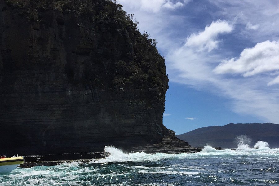 tasman island cruises pennicott