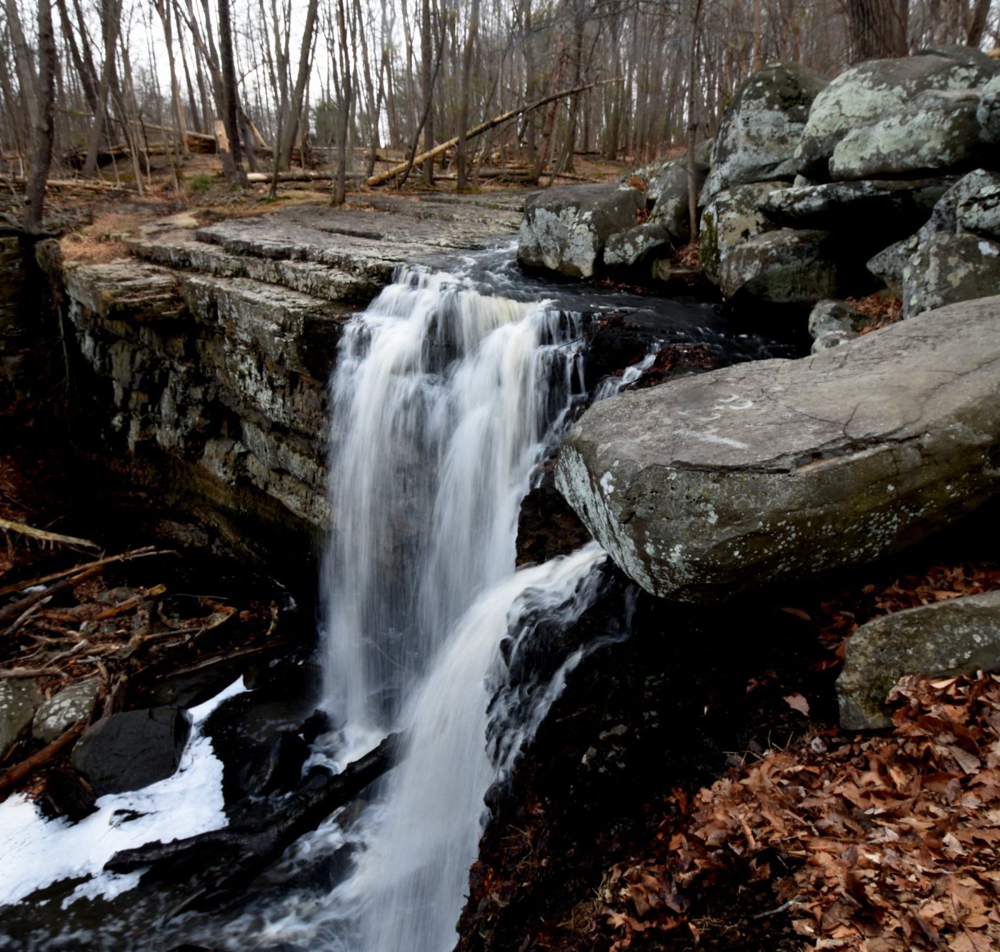 Upper Black Eddy (Пенсильвания) 2024: все самое лучшее для туристов -  Tripadvisor