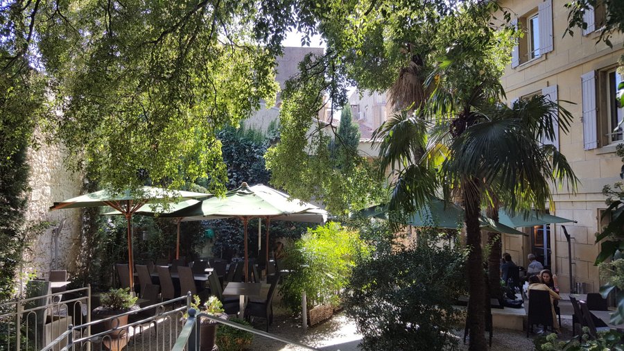 Jardin de l'Hôtel Calendal, petit-déjeuner, déjeuner, détente...