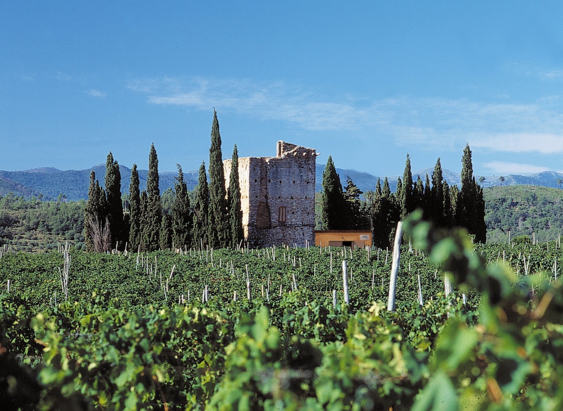 Agriturismo Torre Pernice image