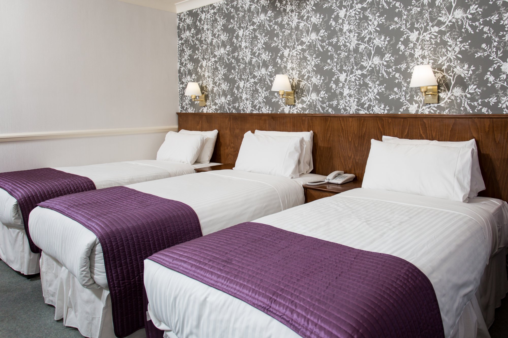 Hotel photo 25 of The Clarendon Hotel - Blackheath Village.