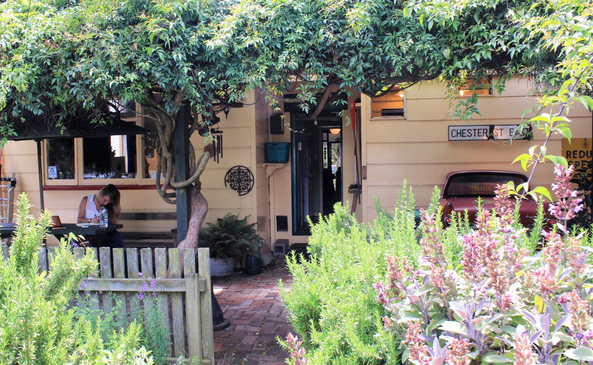Chester Street Backpackers Long Term Accommodation - BBH by null