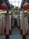 Hanoi C