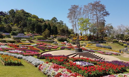More flowers
