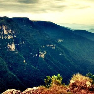 Apiário de Cambará do Sul oferece Passeio do Mel - Celso Sgorlla