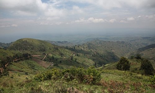 Kyondo 
