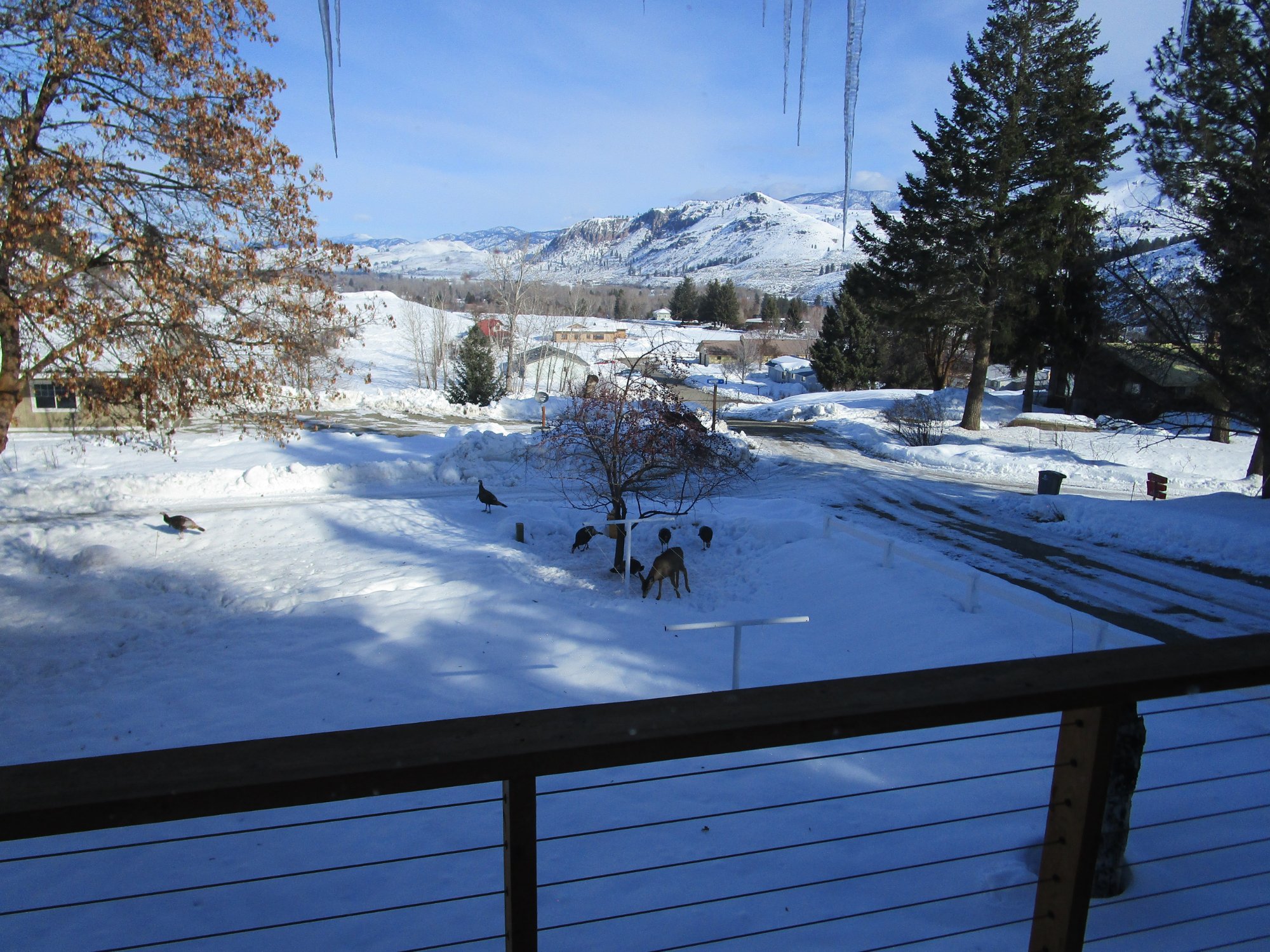 Hotel photo 10 of Methow Suites Bed and Breakfast.