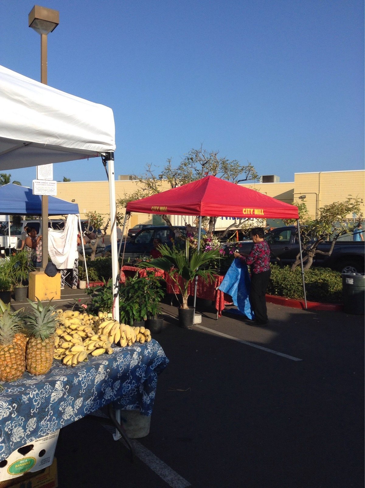 Waianae Farmers Market: A Taste Of Local Delights