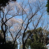 飛鳥山古墳
