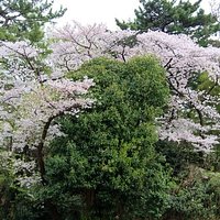 御嶽山古墳