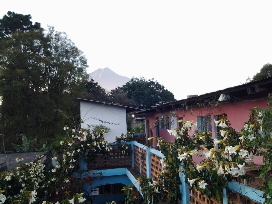 HOTEL EL JARDIN DE LOLITA (Antigua, Guatemala): opiniones ...