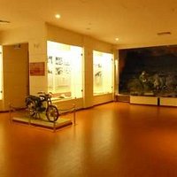 Room display, in the back arrest of agents dispatched to Vietnam in the 1980s