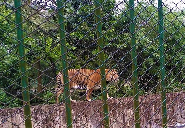 Dhaka Zoo image