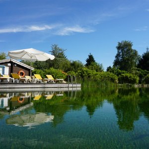 Schwimmteich