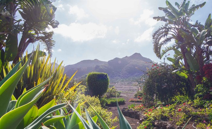 Imagen 18 de Finca El Picacho Cottages Tenerife
