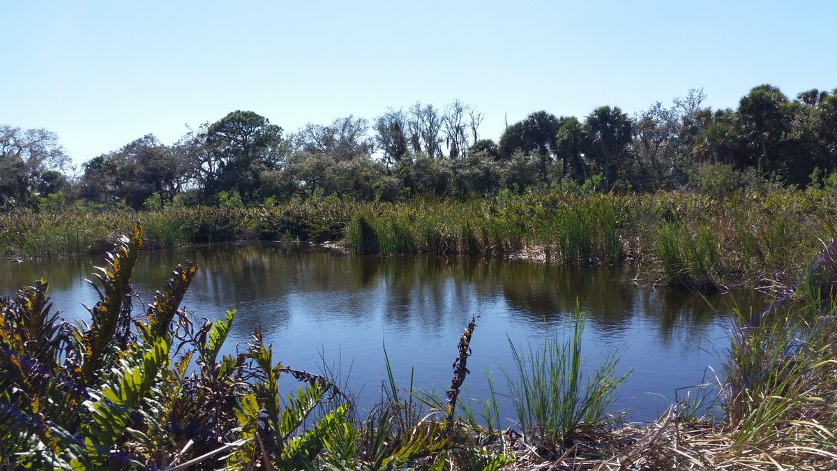 Caloosahatchee Creeks Preserve West - All You Need to Know BEFORE You ...