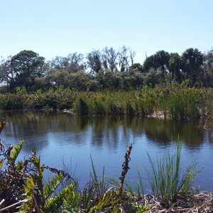 Shell Factory & Nature Park (North Fort Myers) - All You Need to Know ...