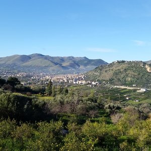 20170210_083933_large.jpg"
