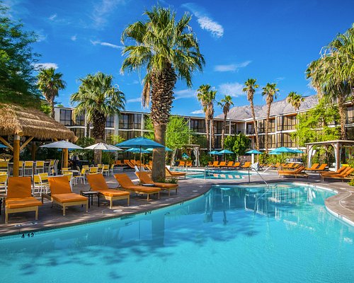 The Best Naturist Resort In So California Review Of Desert Sun Resort Palm Springs Ca 0544