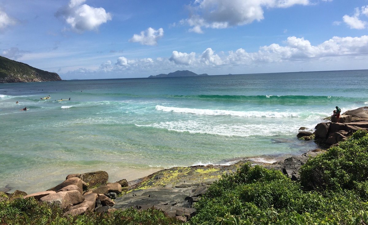 As melhores trilhas em Ponta das Canas, Santa Catarina (Brasil)