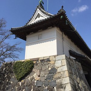 佐賀市の美術館 博物館 ベスト10 トリップアドバイザー 佐賀市の美術館 博物館 ベスト10 トリップアドバイザー