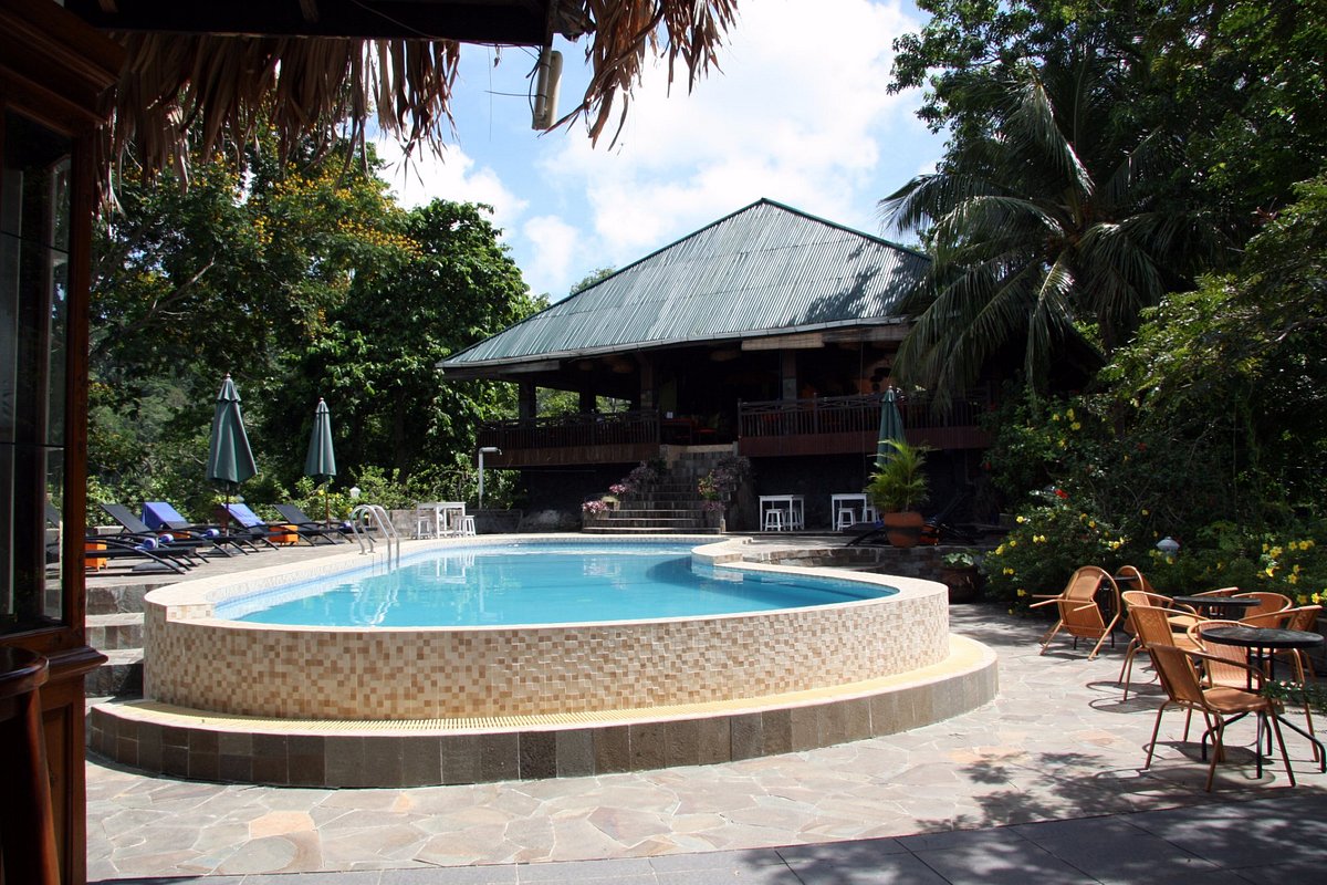 Bastianos Lembeh Dive Resort Pool Pictures & Reviews Tripadvisor