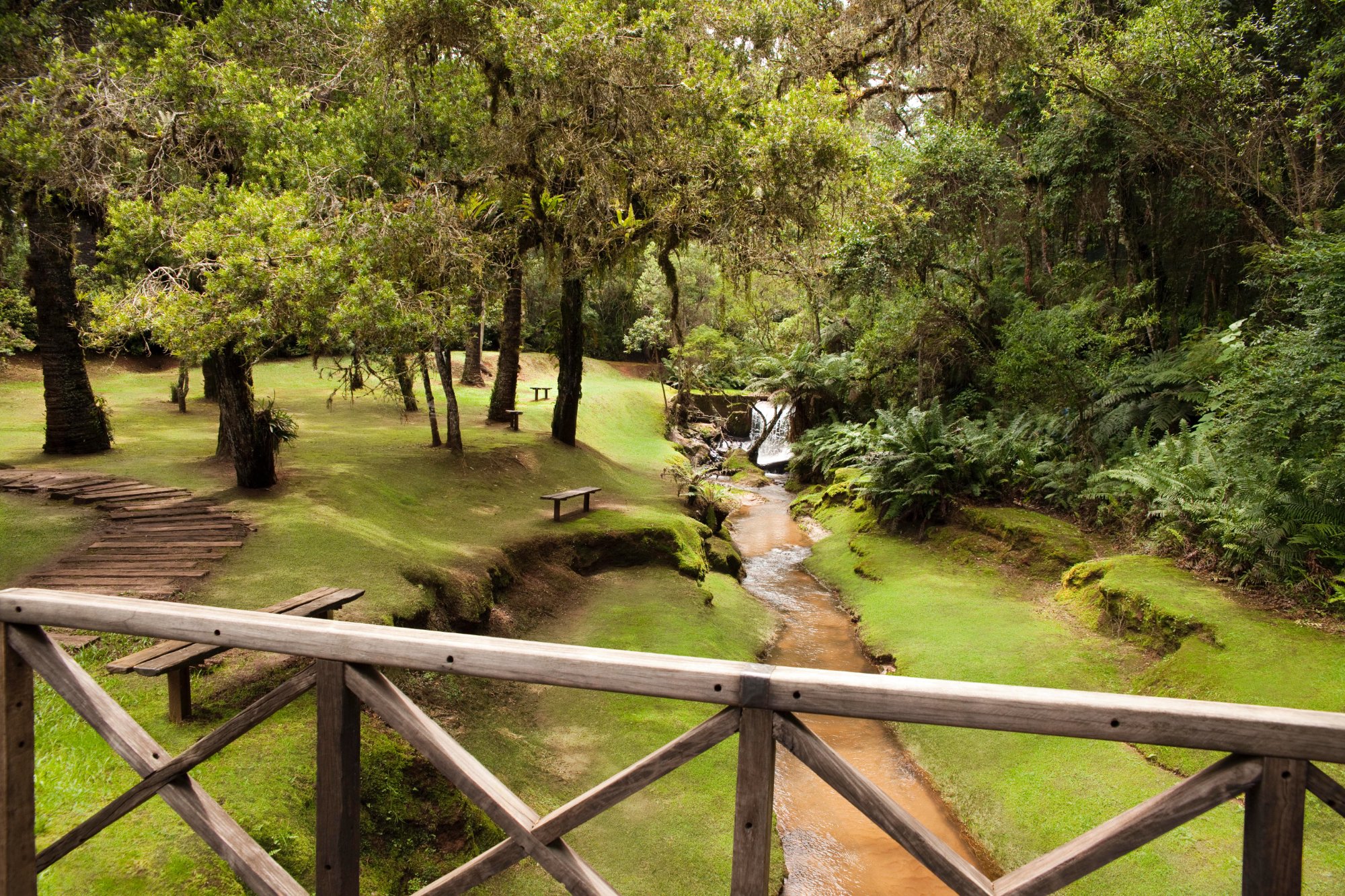 Hotel photo 21 of Grande Hotel Campos do Jordao.