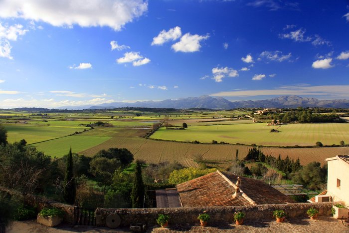 Imagen 23 de Finca Agroturisme Sa Boleda