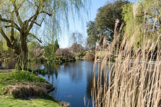 regentspark