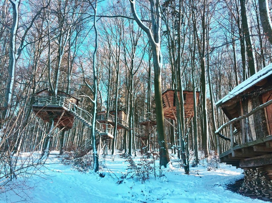 Robins Nest Baumhausherberge Bewertungen Fotos Preisvergleich Witzenhausen Tripadvisor