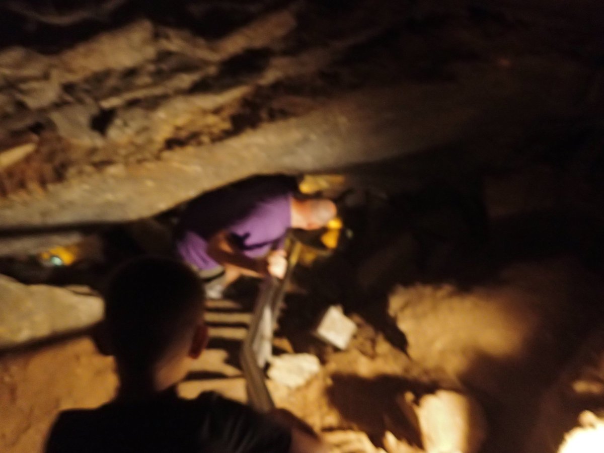 se permiten perros en la cueva del mamut