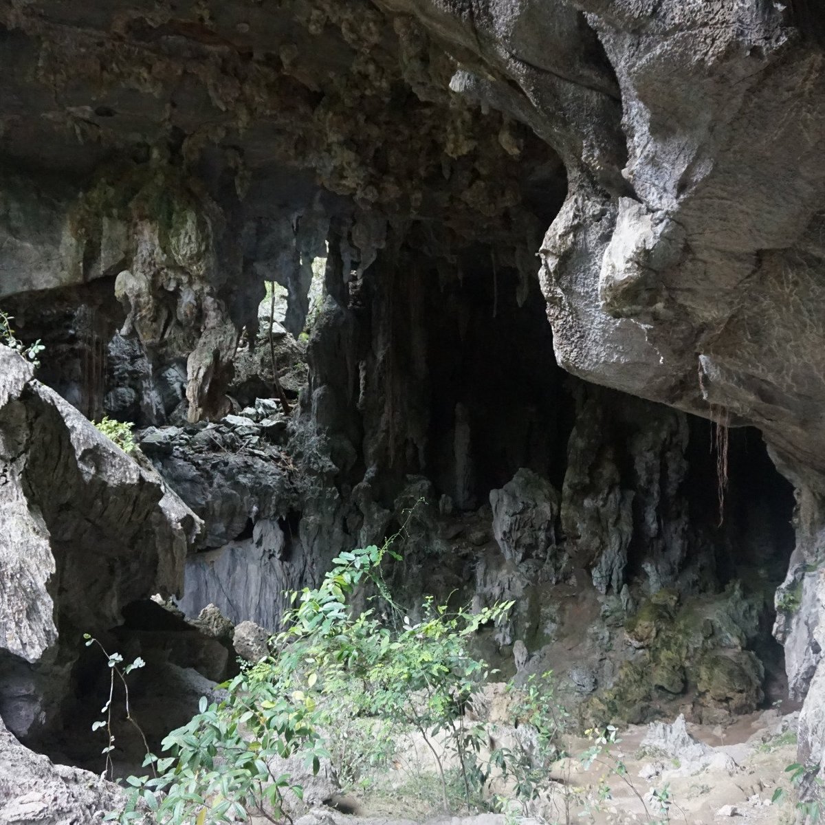 Cavern of Santo Tomas, Пинар-дель-Рио: лучшие советы перед посещением -  Tripadvisor