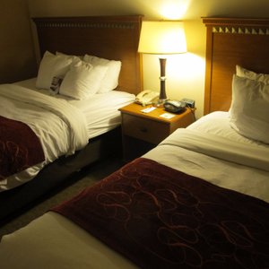 The two queen beds